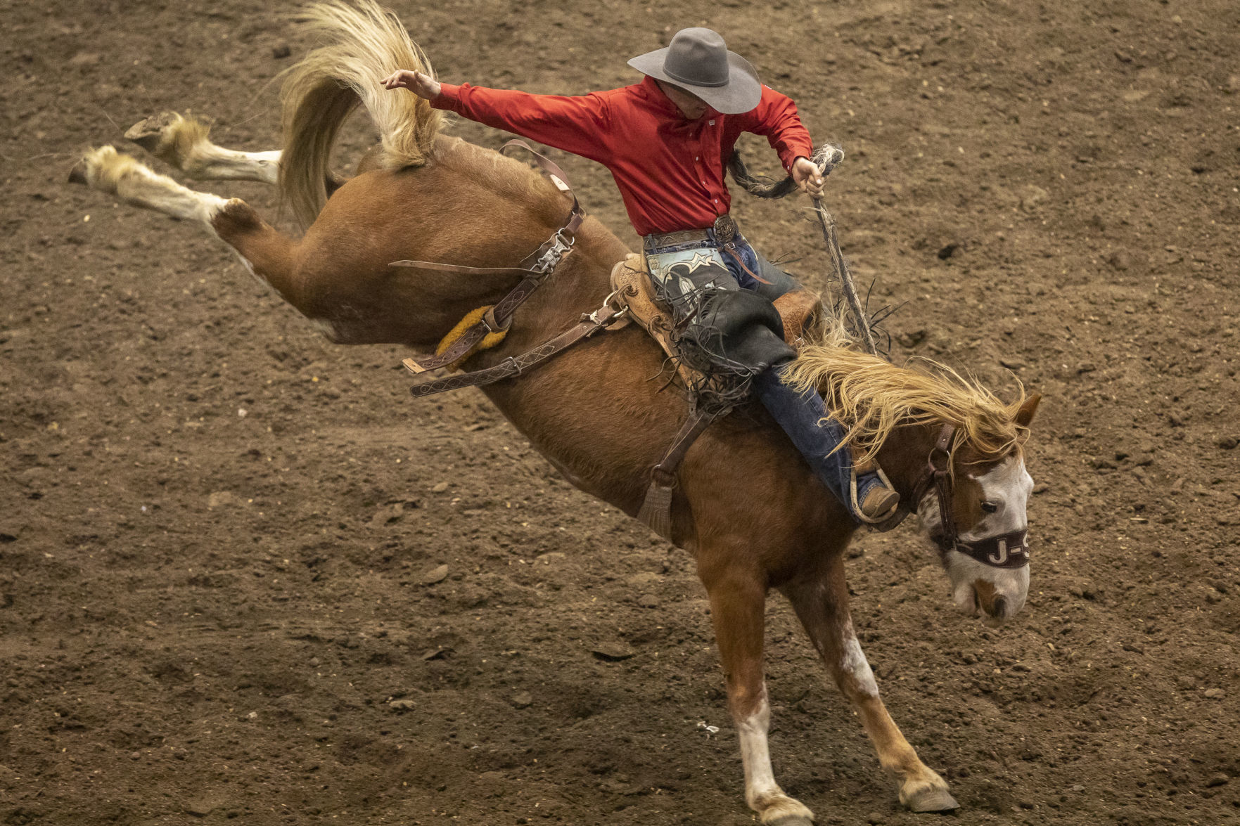 Rodeo Rapid City
